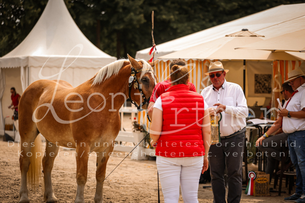 3.Sa00091 | Leoni Ertmer Photography - Realisiert mit Pictrs.com