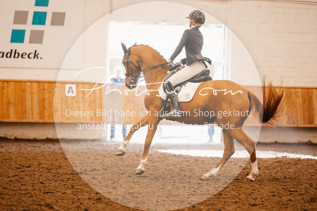 3I6A2368 | Stimmungsvolle Portraits und Reitsportfotografie im Ruhrgebiet und im Münsterland.

Pferdefotografie, Hundefotografie, Tierfotografie, Reportagen, Portraits von Tier und Mensch, Turnierfotografie in Bochum, Recklinghausen, Marl, Haltern am See, Dülmen.. - Realisiert mit Pictrs.com