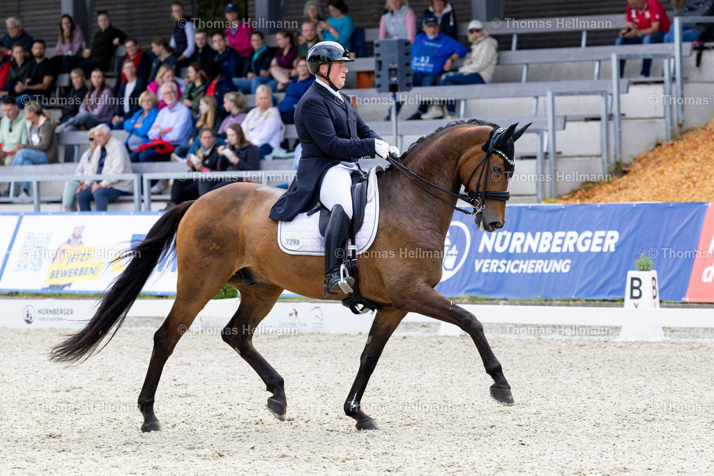 TH_1296 Montepulciano 12 (GER)_ Malte Kalus_32235 | Elmloher Reitertage 2025 am 02.08.25 in Elmlohe,
