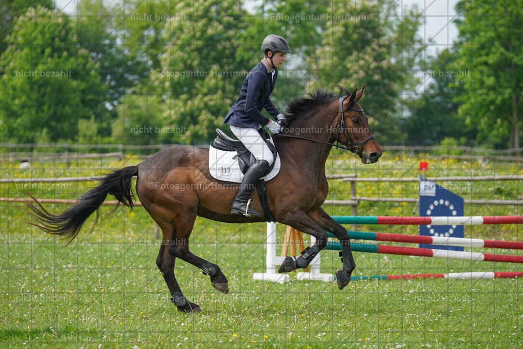 20240509-FAH02708 | Turnierbilder der Turnierfotografen Bayern, Pferdesport Fotografie, Reitsportbilder, Turnier Landberg am Lech, Turnierbilder bayern, Fotoagentur Herrmann