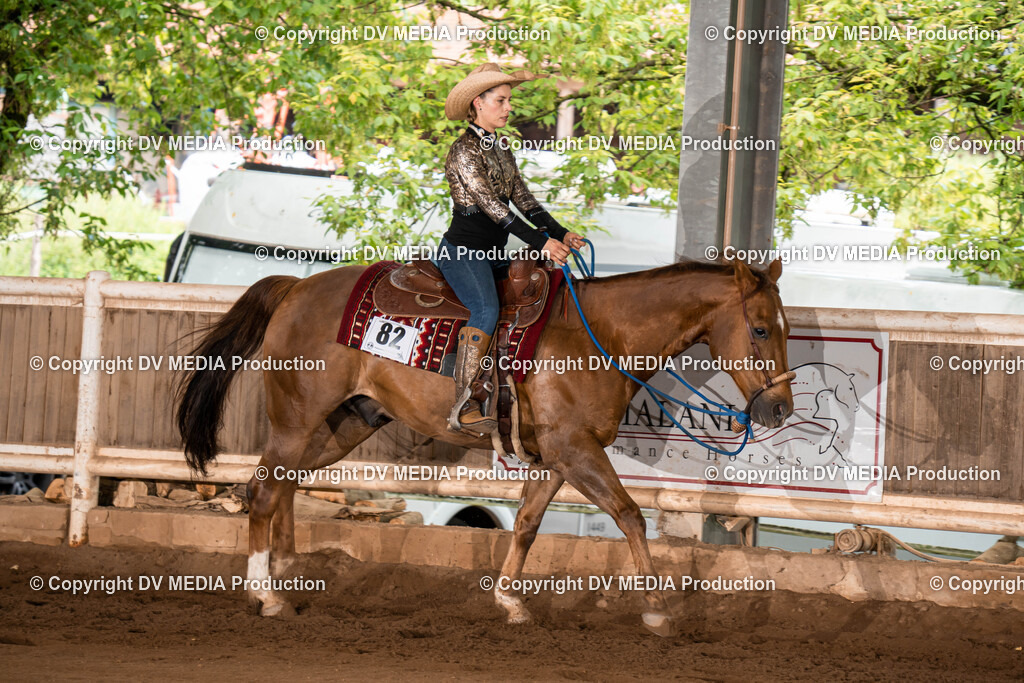 Erbach Tag 1-185 | dv-media-shop - Realisiert mit Pictrs.com