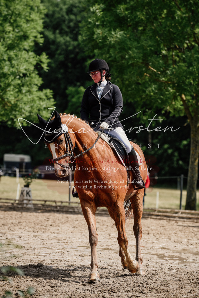 DSC_0668 | Pferde- und Turnierfotografie in Westsachsen. Pferdeportraits, Auftragszeichnungen und intuitive Kunst.