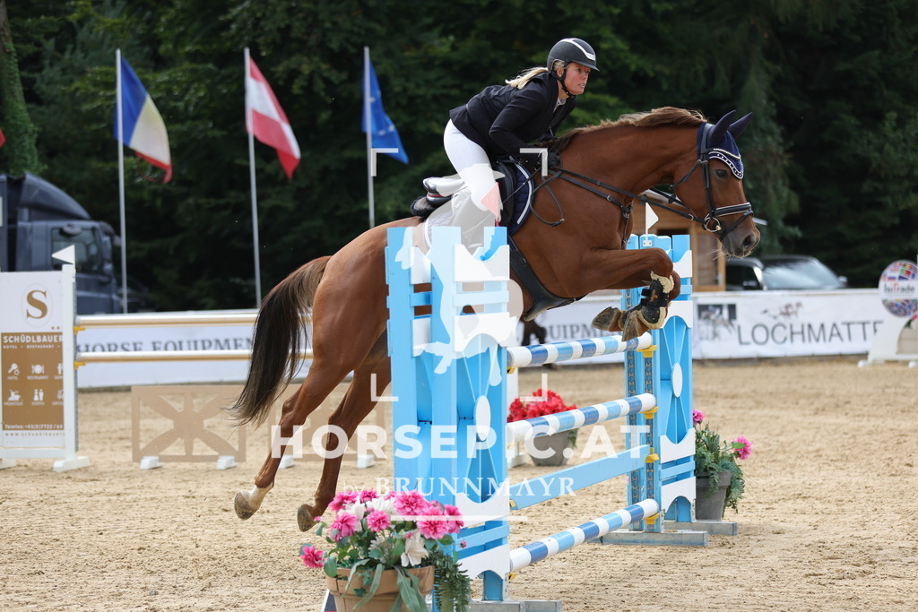 0P6A6799 | Willkommen bei Brunnmayr - Design & Fotografie – Ihrem Spezialisten für Reitturniere und Pferdeveranstaltungen in Oberösterreich, Salzburg und Bayern! Seit über 17 Jahren sind wir leidenschaftlich dabei.