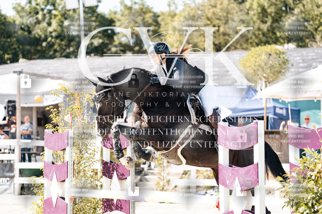 CK908127 | Turnierfotografie Pferdefotografie Trier Rheinland-Pfalz Pferdesport Reitsport Tierfotografie Sportfotografie Pferdevideo Pferdevideografie Equestrianvideography equestrianphotography  - Realisiert mit Pictrs.com