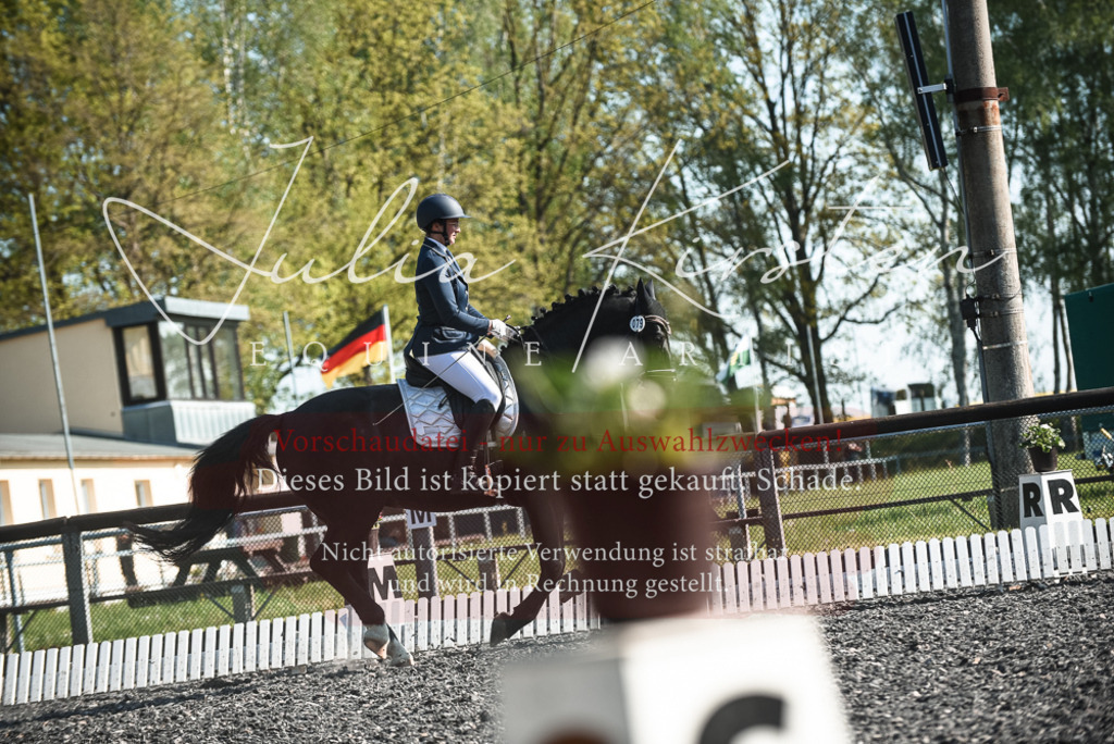 DSC_8494 | Pferde- und Turnierfotografie in Westsachsen. Pferdeportraits, Auftragszeichnungen und intuitive Kunst.