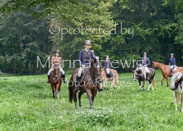 09-23 JAgd PerdölDSC01886_Marina Hewig | Fotografie, FotoArt, PferdesportArt, Pferdesportfotografie, Landschaftsfotografie, Reisefotografie, Reise, Pferde - Realisiert mit Pictrs.com