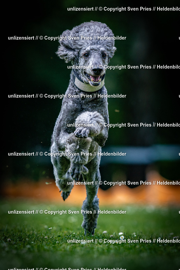 Sven Pries | 2025-05-29 - Pudelrennen KA-Durlach - Realisiert mit Pictrs.com