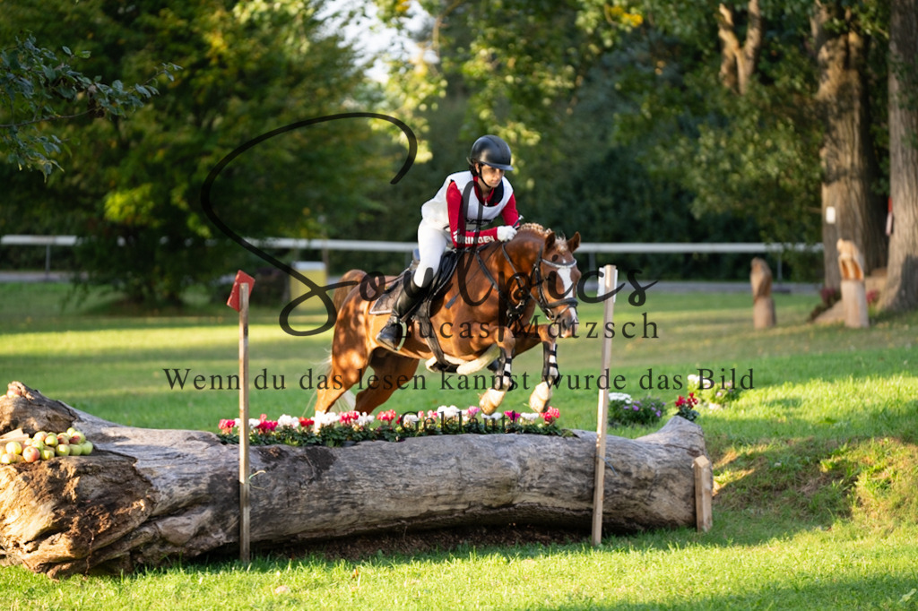 A7V02860 | Turnier/Reitfotograf