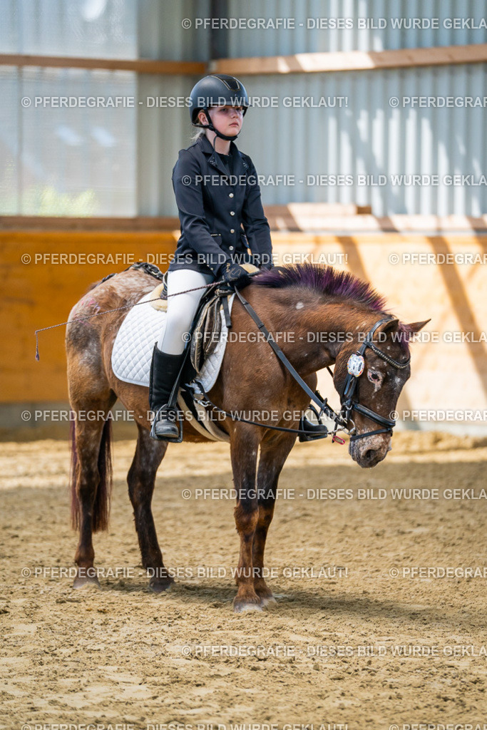 DSC01436 | Pferdegrafie