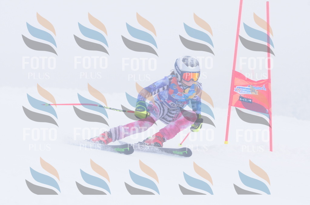 C2441 | holidayphoto