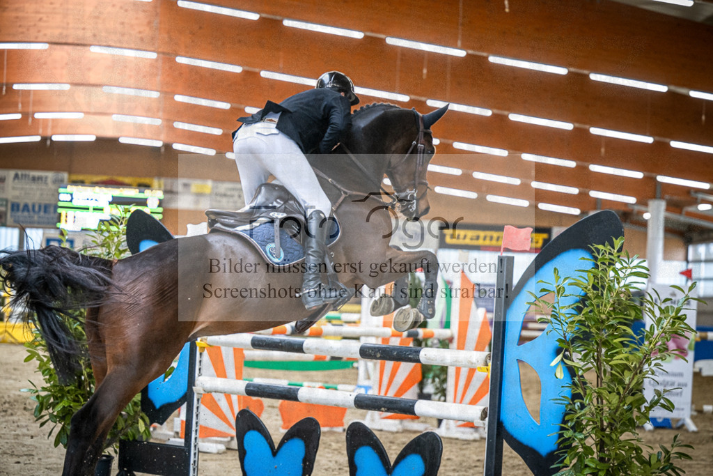DOS_0663 | Entdecke hochwertige Reitturnierfotos von Foto Oger. Professionell, emotional und authentisch – jetzt Lieblingsmomente im Shop bestellen. - Realisiert mit Pictrs.com