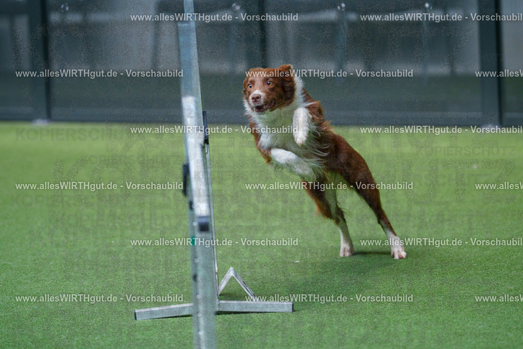 @allesWIRTHgut_Tierfotografie - www.allesWIRTHgut.de - 2604261527-7R505629 | Professionelle Tierfotografie in Mönchengladbach von Daniel Wirth (allesWIRTHgut). Liebevolle & natürliche Bilder von Hunden & Katzen für unvergessliche Erinnerungen.