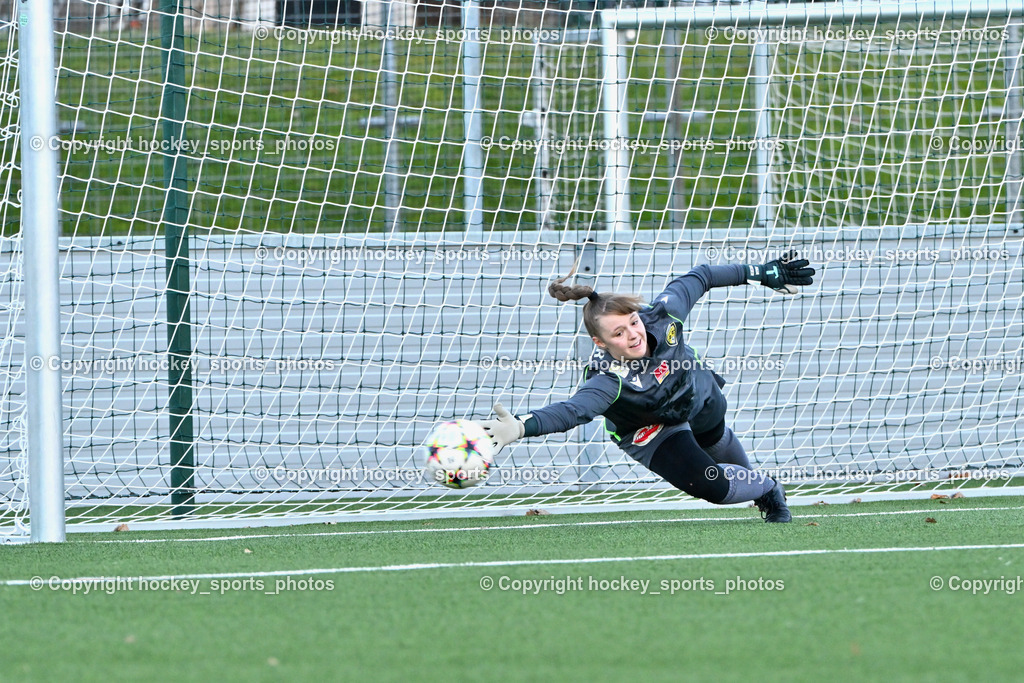 Liwodruck Carinthians Hornets vs. FK Austria Wien Frauen 19.11.2023 | #1 Anja Meier
