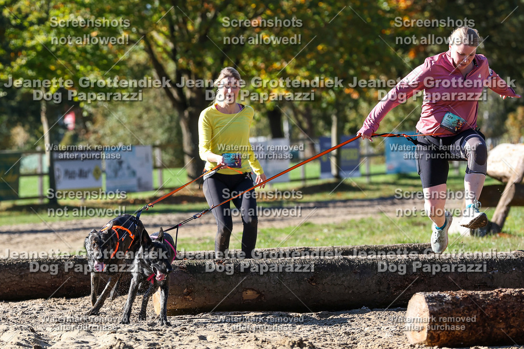Dog Paparazzi - Strongdog 10-25-2593 | Dog Paparazzi Jeanette Grottendiek Fotografie & Videografie - Realisiert mit Pictrs.com