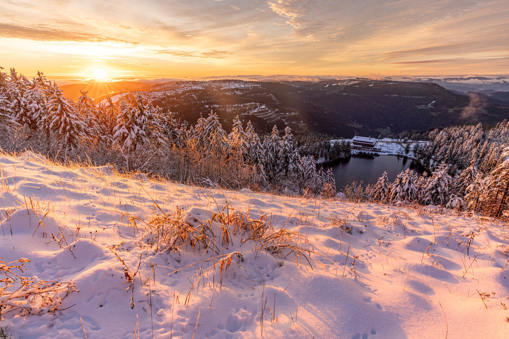 DSC06705 | Manugrafie.net - Realisiert mit Pictrs.com