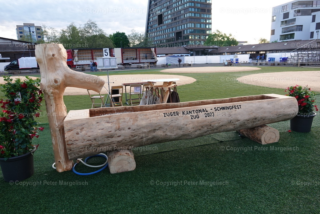 DSC03552 | Schwingen - Realisiert mit Pictrs.com