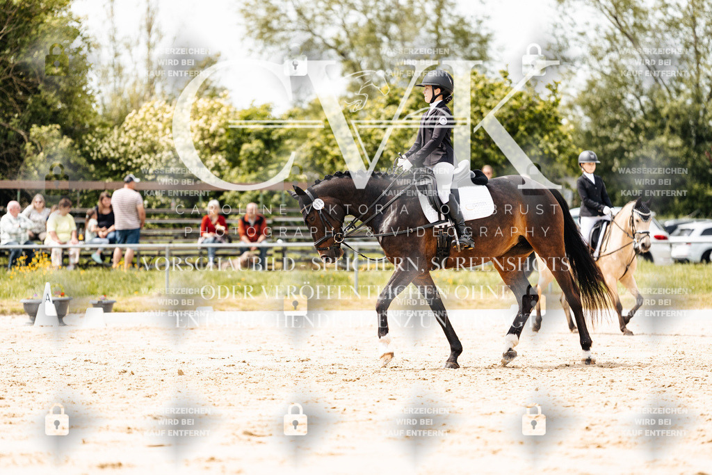 CK902457 | Turnierfotografie Pferdefotografie Trier Rheinland-Pfalz Pferdesport Reitsport Tierfotografie Sportfotografie Pferdevideo Pferdevideografie Equestrianvideography equestrianphotography  - Realisiert mit Pictrs.com