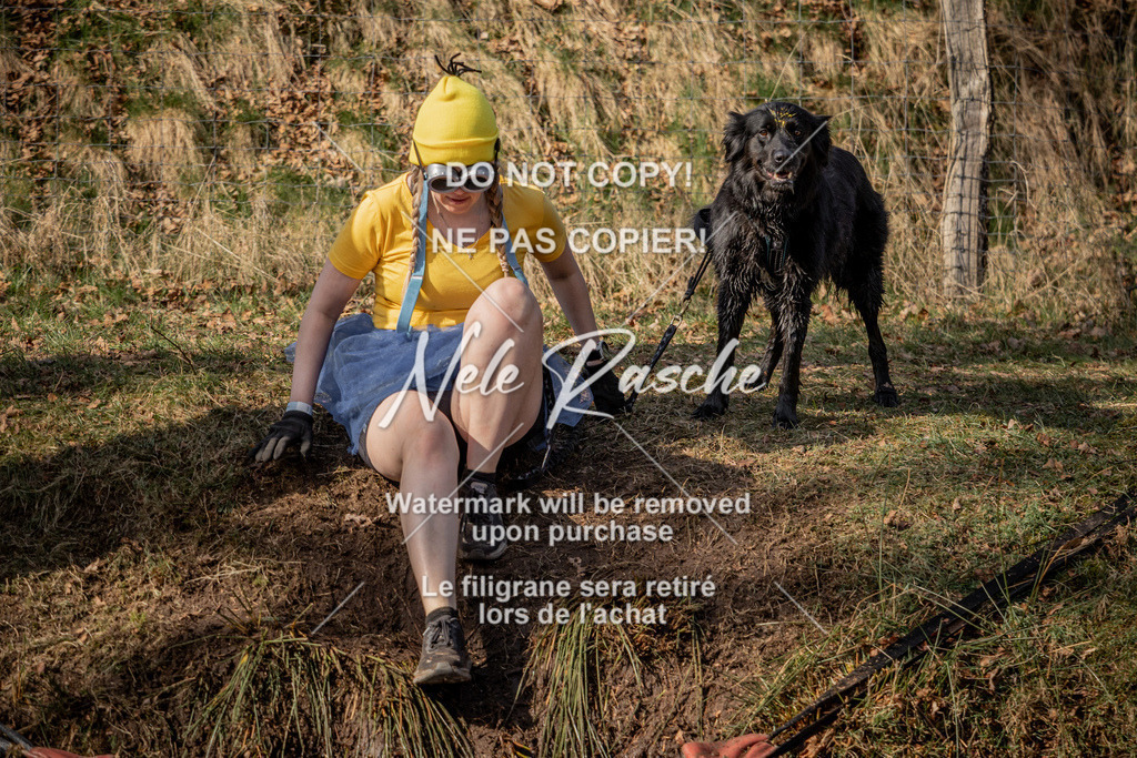 nelerasche_FS1330-1400_172 | nelerasche