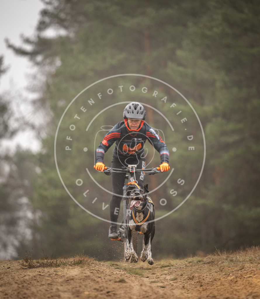 Pfotenfotografie_DV3A2654 | Hundefotografie, Tierfotograf, Pfotenfotografie, Fotoshooting Hund, Hunde Portrait, Hundesport, Hundeportraits, Heideshooting, Hunde, Sportfotograf, Hundefotograf, Turnierhundsport, THS,  - Realisiert mit Pictrs.com