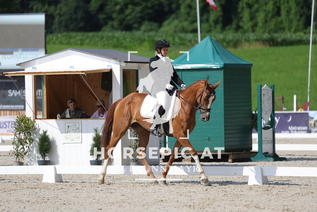 0P6A8984 | Willkommen bei Brunnmayr - Design & Fotografie – Ihrem Spezialisten für Reitturniere und Pferdeveranstaltungen in Oberösterreich, Salzburg und Bayern! Seit über 17 Jahren sind wir leidenschaftlich dabei.