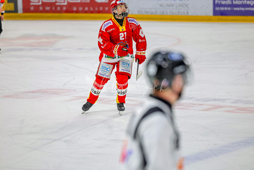 EHCB vs HCD-1408 | Sportbilder, Sportfotograf, Hochzeits- und Eventfotografin, Flugshows, Portraits und Tiershooting, Aviation, Downhill, Nationalleague, Swissleague, International