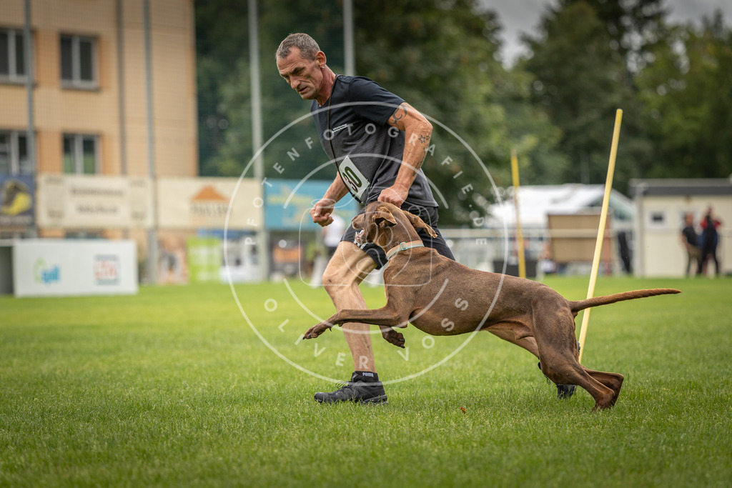 Pfotenfotografie_DV3A8389 | Hundefotografie, Tierfotograf, Pfotenfotografie, Fotoshooting Hund, Hunde Portrait, Hundesport, Hundeportraits, Heideshooting, Hunde, Sportfotograf, Hundefotograf, Turnierhundsport, THS,  - Realisiert mit Pictrs.com