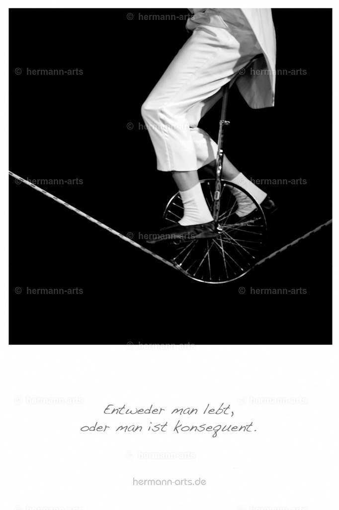 PK_Zitate_10x15_BW-058 | Photo Foto Kunst Art schwarzweiss Bilder Rheine Münster Berlin Blumen 