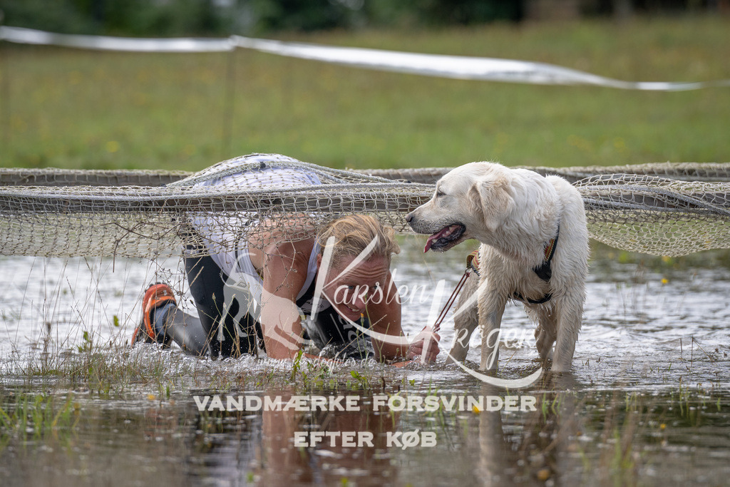 1058_ZZ91844 | kk-dogfotos