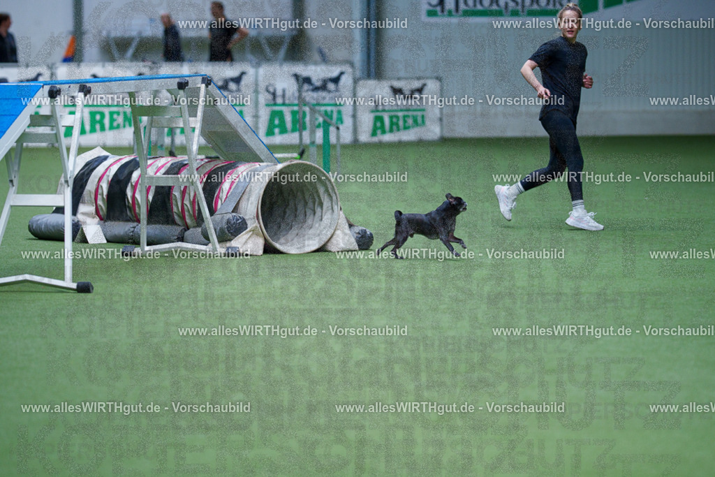 @allesWIRTHgut_Tierfotografie - www.allesWIRTHgut.de - 2604261002-7R508298 | Professionelle Tierfotografie in Mönchengladbach von Daniel Wirth (allesWIRTHgut). Liebevolle & natürliche Bilder von Hunden & Katzen für unvergessliche Erinnerungen.