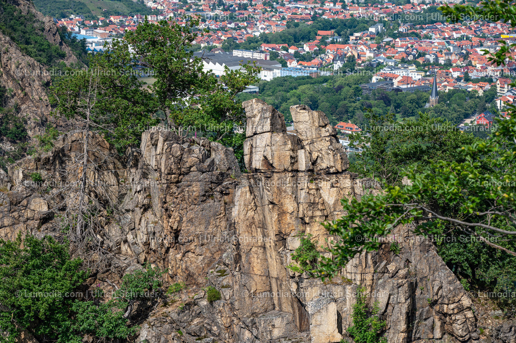 10049-13256 - Im Bodetal bei Thale | Stockfoto und Bilderpool mit Bildmaterial aus Deutschland, dem Harz, Halberstadt, Quedlinburg, Wernigerode und weltweit. Qualitativ hochwertige und professionelle Fotos anschauen und kaufen. - Realisiert mit Pictrs.com