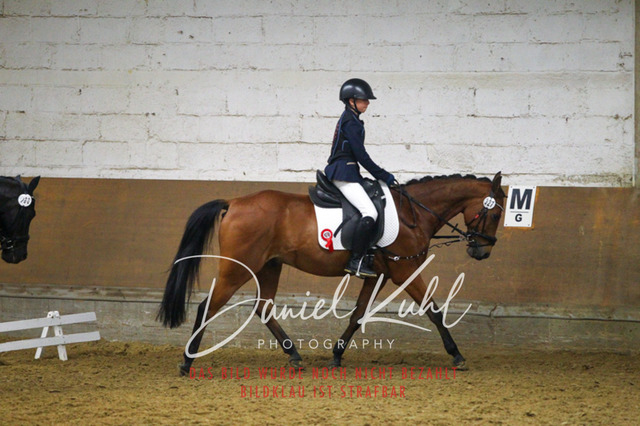 DKP44462 | Turniersportfotografie; Pferdefotografie; Dressurfotografie