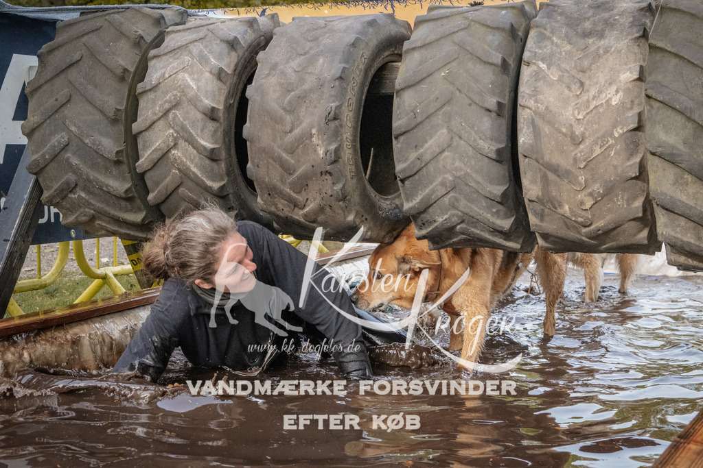 1440_ZZ94764 | kk-dogfotos