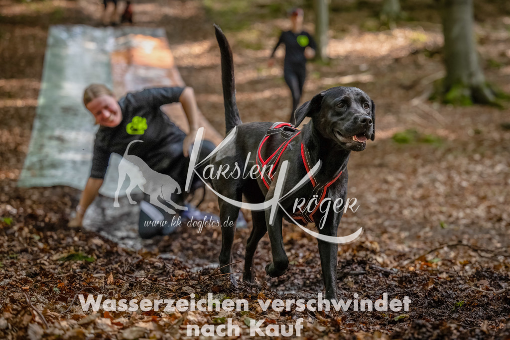 1143_ZZ92311-Bearbeitet | kk-dogfotos