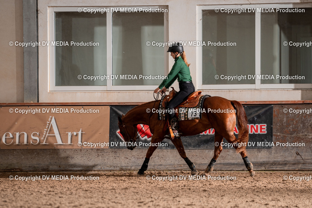 LM Heiligenwald Tag 3-211 | dv-media-shop - Realisiert mit Pictrs.com