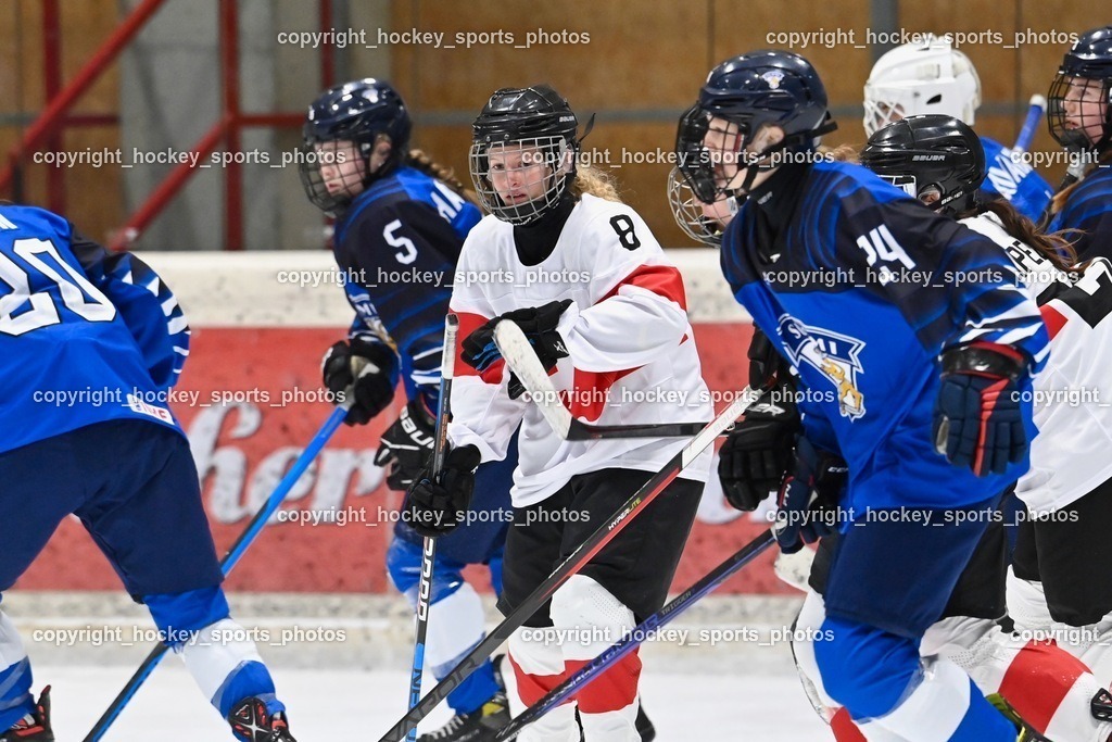 BST_3280 | hockey sports photos, Pressefotos, Sportfotos, hockey247, win 2day icehockeyleague, Handball Austria, Floorball Austria, ÖVV, Kärntner Eishockeyverband, KEHV, KFV, Kärntner Fussballverband, Österreichischer Volleyballverband, Alps Hockey League, ÖFB, 