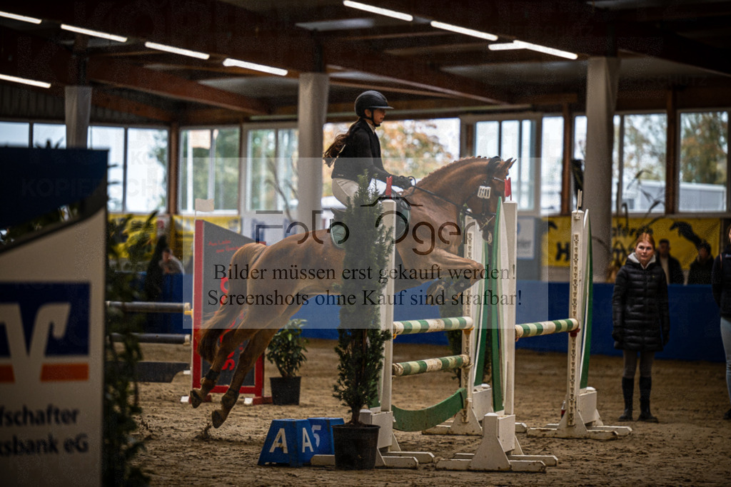 DOS_0210 | Entdecke hochwertige Reitturnierfotos von Foto Oger. Professionell, emotional und authentisch – jetzt Lieblingsmomente im Shop bestellen.Deutschlandweite Turnierfotografie. - Realisiert mit Pictrs.com
