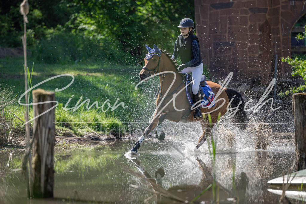 20260523-_3LI7103 | Tierfotografie Pferde, Hunde, Katzen, Haustiere.
Turnierfotografie Reitturniere, Reiten, Springreiten, Dressur in Hanau, dem Main-Kinzig-Kreis und dem Rhein-Main- Gebiet um Frankfurt