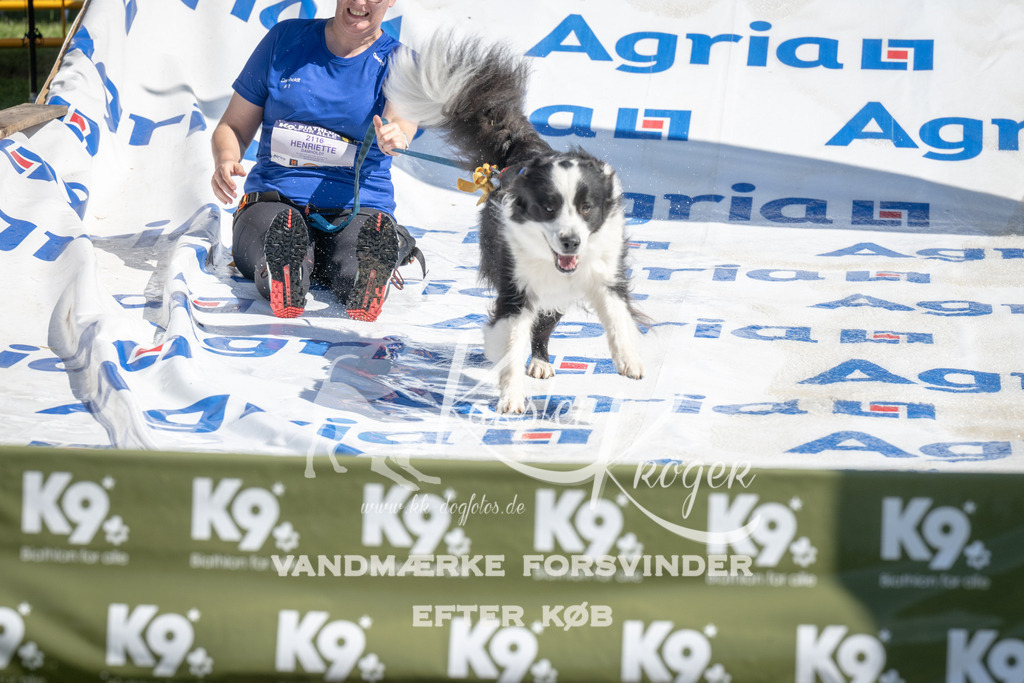 1144_ZZ93786 | kk-dogfotos