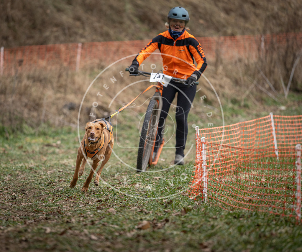 Pfotenfotografie_DV3A0401 | Hundefotografie, Tierfotograf, Pfotenfotografie, Fotoshooting Hund, Hunde Portrait, Hundesport, Hundeportraits, Heideshooting, Hunde, Sportfotograf, Hundefotograf, Turnierhundsport, THS,  - Realisiert mit Pictrs.com