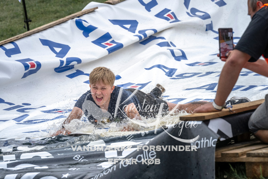 1701_ZZ99764 | kk-dogfotos