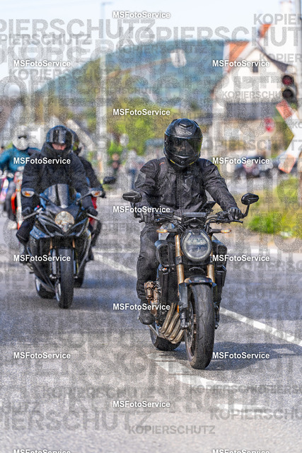 MSFotoService-652 | MSFotoService - Realisiert mit Pictrs.com