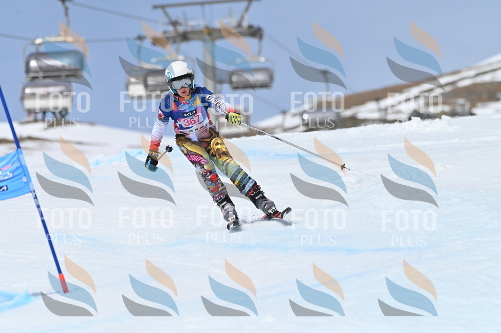 BGV_3974 | holidayphoto