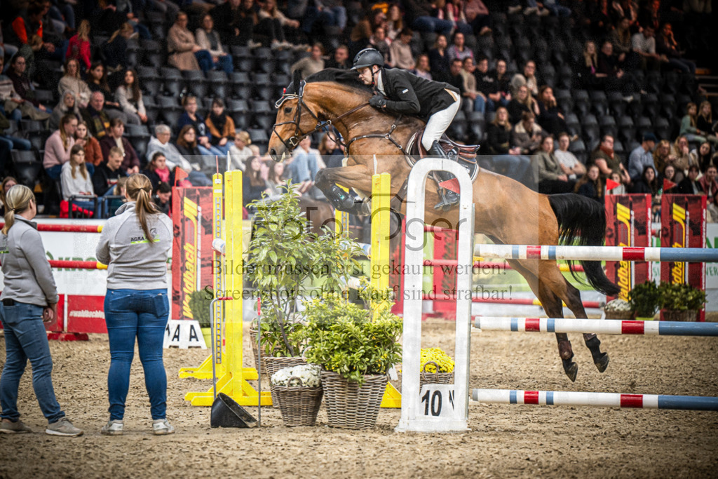 DOS_2900 | Entdecke hochwertige Reitturnierfotos von Foto Oger. Professionell, emotional und authentisch – jetzt Lieblingsmomente im Shop bestellen.Deutschlandweite Turnierfotografie. - Realisiert mit Pictrs.com