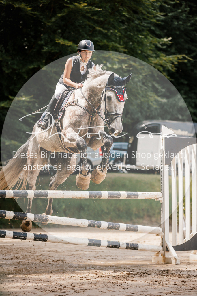 3I6A7869 | Stimmungsvolle Portraits und Reitsportfotografie im Ruhrgebiet und im Münsterland.

Pferdefotografie, Hundefotografie, Tierfotografie, Reportagen, Portraits von Tier und Mensch, Turnierfotografie in Bochum, Recklinghausen, Marl, Haltern am See, Dülmen.. - Realisiert mit Pictrs.com
