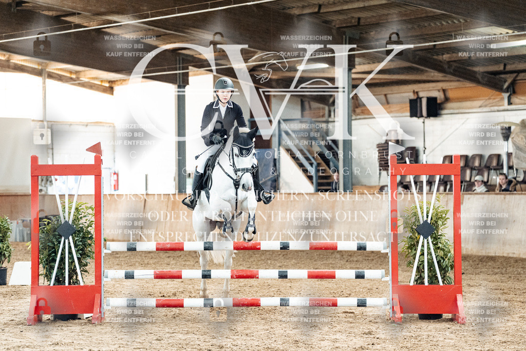 CK904618 | Turnierfotografie Pferdefotografie Trier Rheinland-Pfalz Pferdesport Reitsport Tierfotografie Sportfotografie Pferdevideo Pferdevideografie Equestrianvideography equestrianphotography  - Realisiert mit Pictrs.com