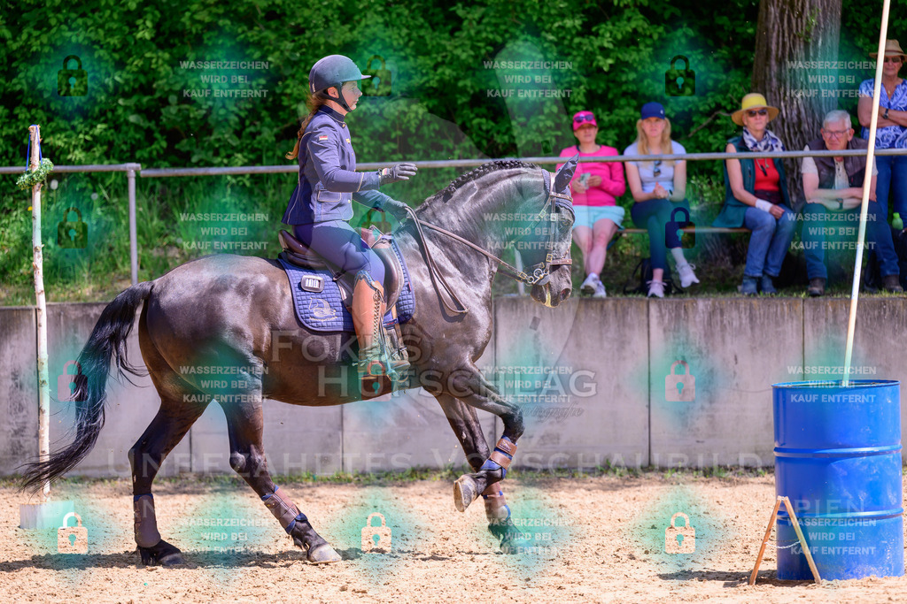 03052026-Giesenbach-05-Stiltrail-0233 | Fokus Hufschlag Fotografie - Realisiert mit Pictrs.com