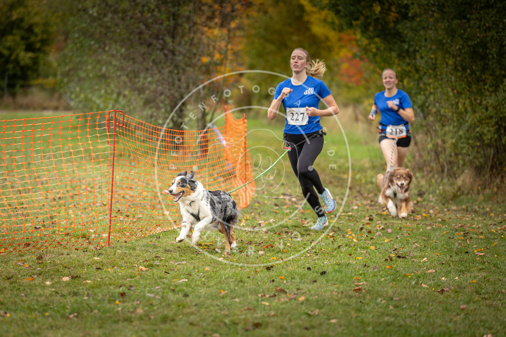 Pfotenfotografie_DV3A4675 | Hundefotografie, Tierfotograf, Pfotenfotografie, Fotoshooting Hund, Hunde Portrait, Hundesport, Hundeportraits, Heideshooting, Hunde, Sportfotograf, Hundefotograf, Turnierhundsport, THS,  - Realisiert mit Pictrs.com