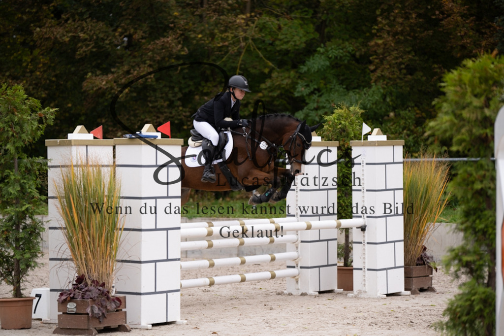 A7V08043 | Pferdefotograf