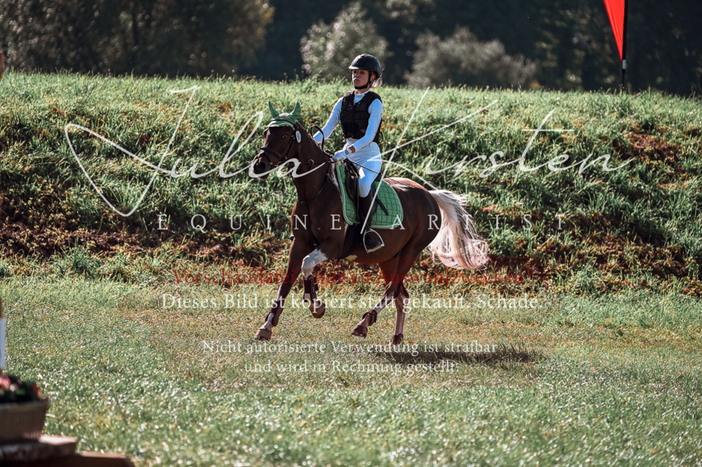 DSC_0834 | Pferde- und Turnierfotografie in Westsachsen. Pferdeportraits, Auftragszeichnungen und intuitive Kunst.