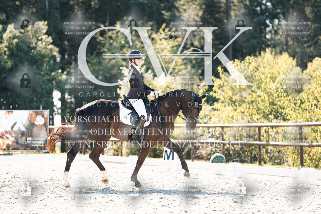 CK905775 | Turnierfotografie Pferdefotografie Trier Rheinland-Pfalz Pferdesport Reitsport Tierfotografie Sportfotografie Pferdevideo Pferdevideografie Equestrianvideography equestrianphotography  - Realisiert mit Pictrs.com